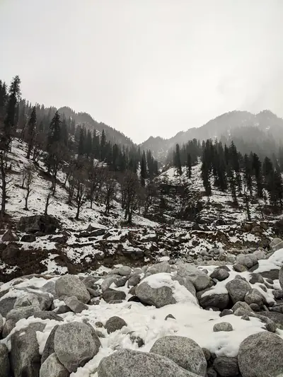 Photograph by Prakrisht Dahiya